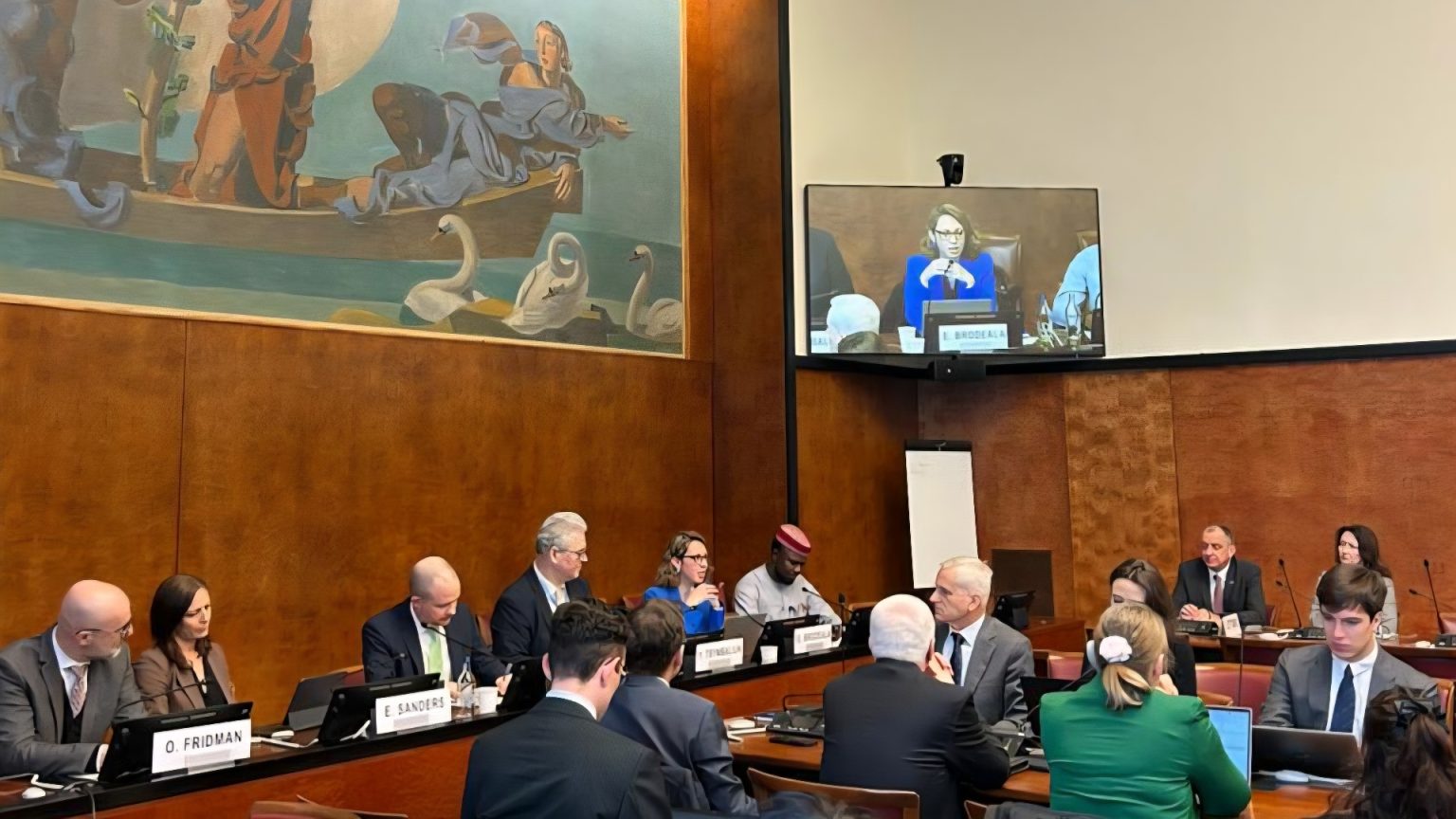 Council of Europe participates in Human Rights Council side event on disinformation, highlighting the key role of resilience-building