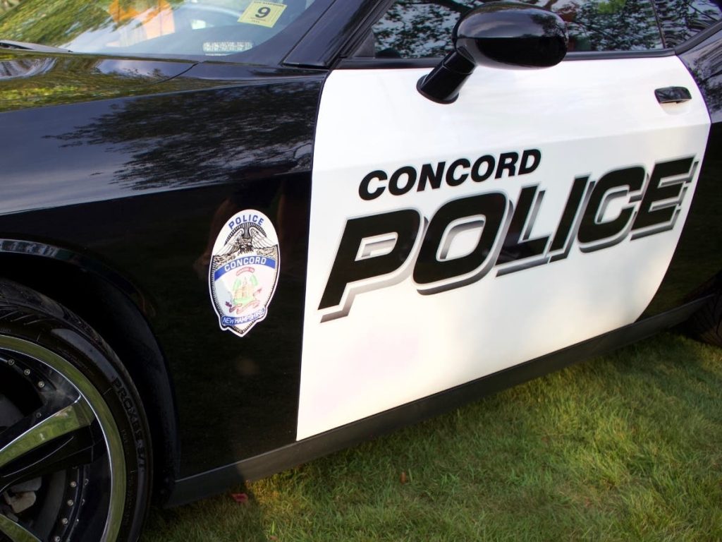 Concord Teen Arrested On Assault, Domestic Violence, False Imprisonment, And Theft Charges: Concord Cop Log
