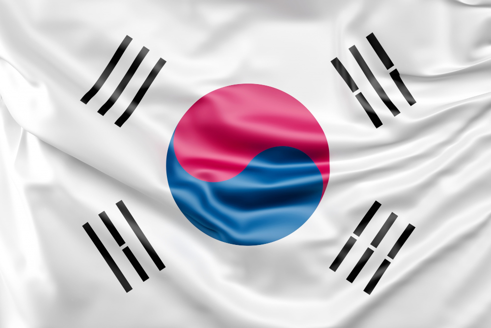 South Korea warns on AI fake news risks