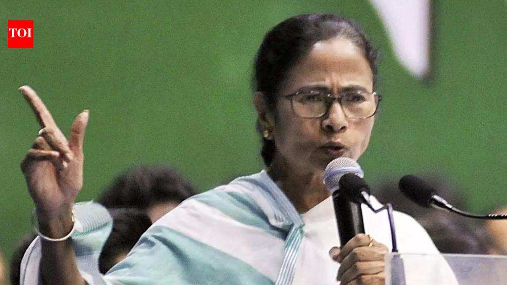 BJP, EC tried to invalidate my Bhabanipur candidature with ‘false cases’: Mamata at Keshiyari rally | India News