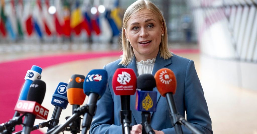 Finnish FM slams Russian disinformation campaigns against Baltics | Yle News