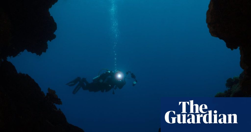 ‘If something goes wrong, you can’t simply surface’: Maldives tragedy shines light on dangers of cave diving | Maldives