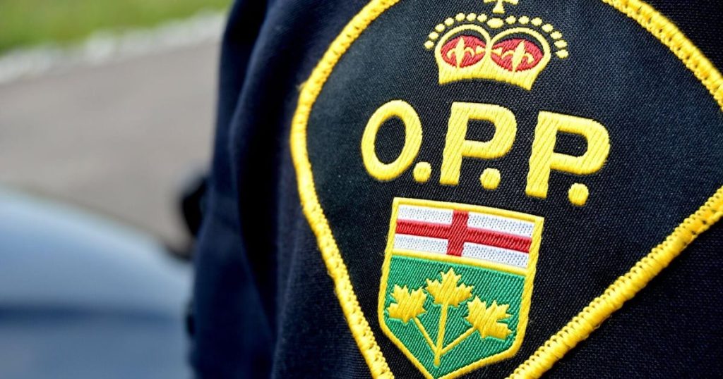 Call to police about homicide in Pembroke turned out to be fake, OPP say – CTV News