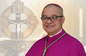 Alminaza says Senate statement was universal appeal, not partisan defense – Digicast Negros