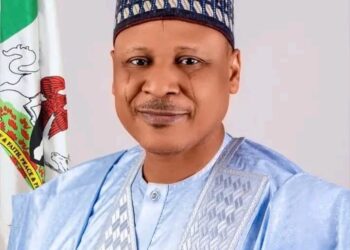 Information officers critical in combating misinformation – Idris