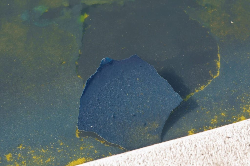 Trump Threatens ABC News Lawsuit As He Doubles Down On Reflecting Pool Vandalism Claims