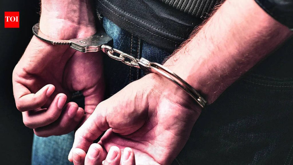 Fake recruiter used AI images to blackmail teenaged girl, arrested | Delhi News