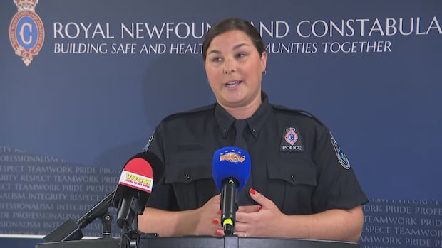RNC warns parents after youth targeted by extortion group through Roblox