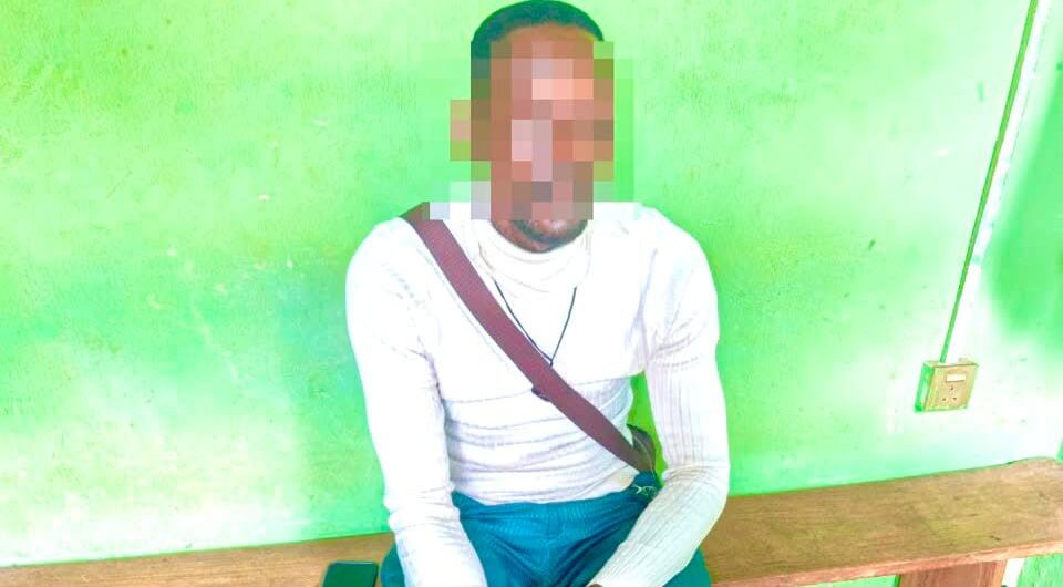 Man, 42, in Police Net for False School Kidnap Alarm – The Nigerian Observer