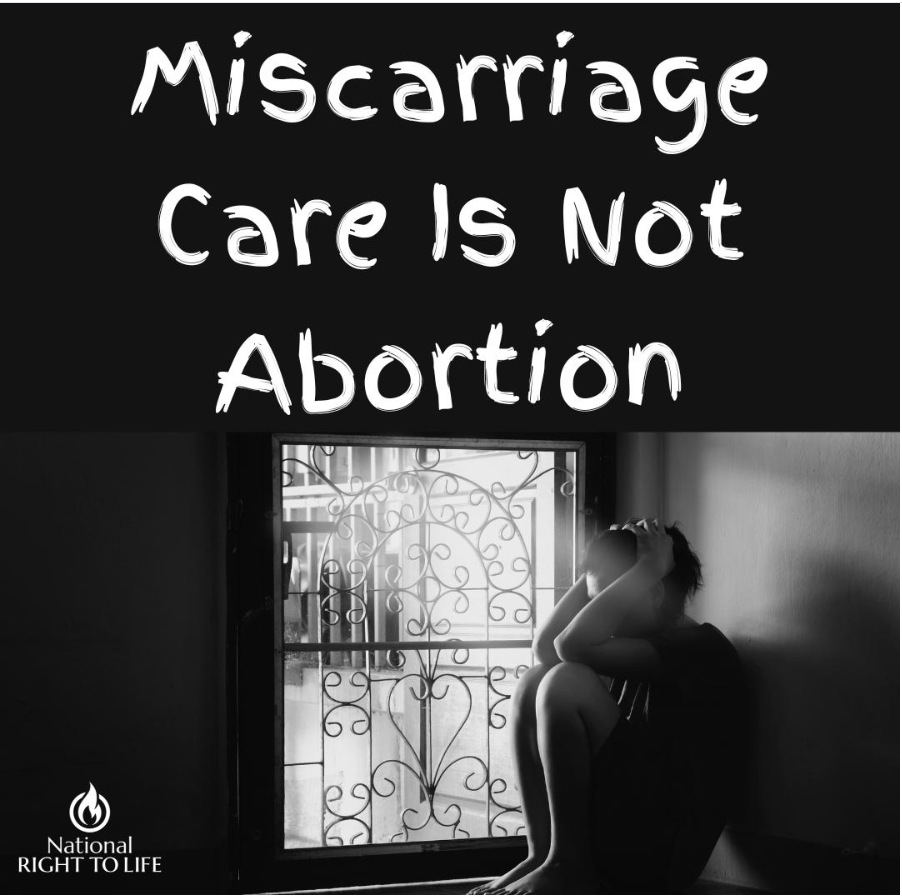 Miscarriage Care Is Not Abortion: Ashley’s Story Shows the Danger of Pro-Abortion Misinformation
