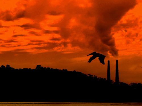 Climate Mis/Disinformation Is Meant to Stall Action: CAAD