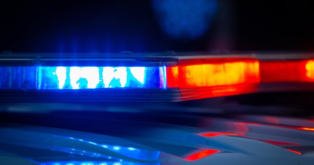 Former Georgia police officer sentenced for repeatedly tasing handcuffed man in custody and filing false report