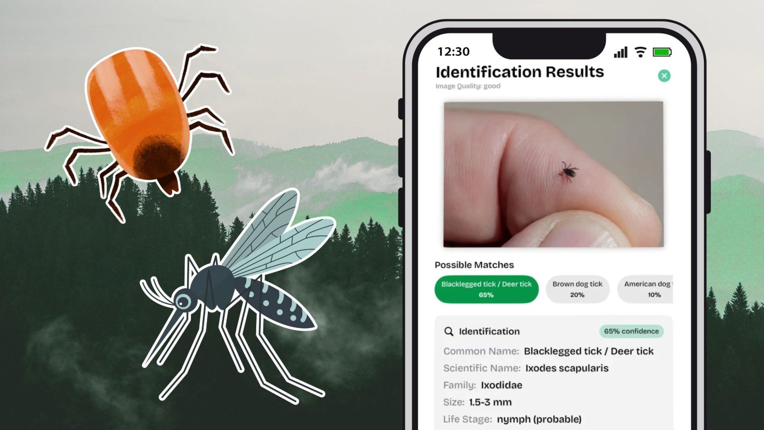 Tick and Mosquito Misinformation Is Rising. A New App Can Help.
