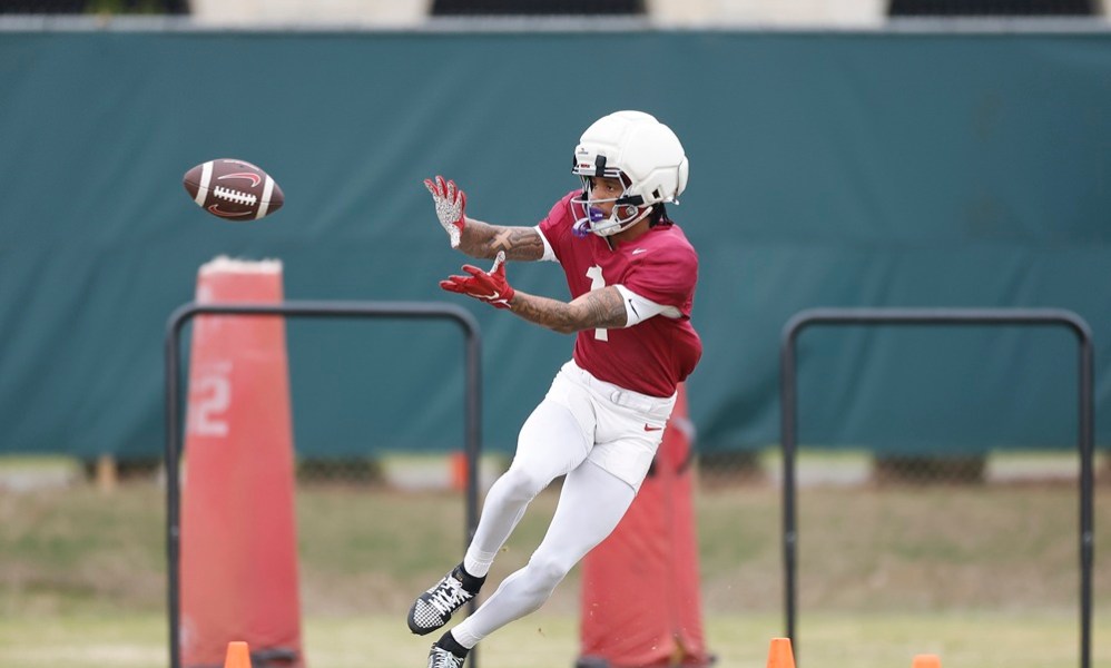 True of False: Will Ryan Williams will end season with 1,000 yards?