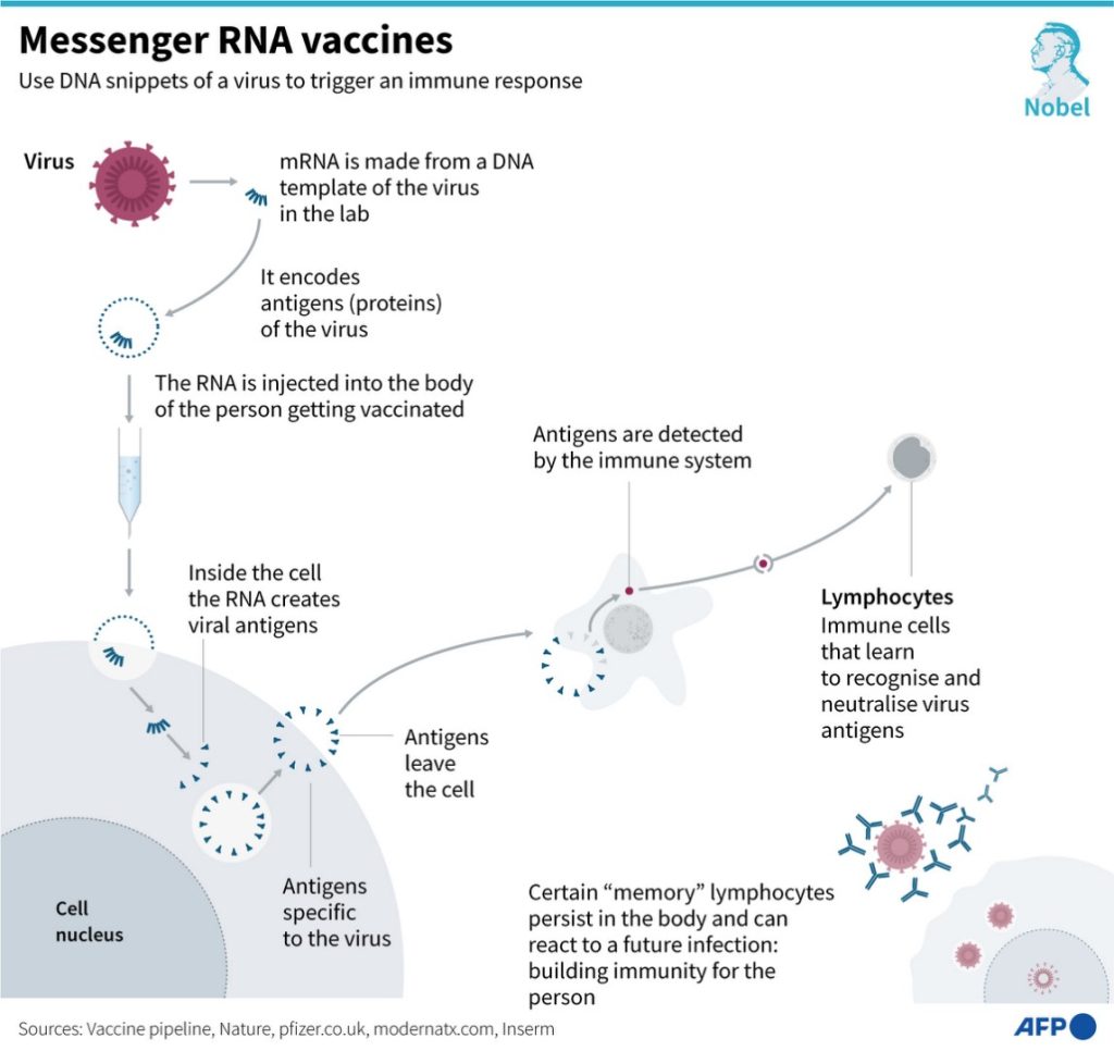 False claims about mRNA vaccination via shrimp consumption resurface