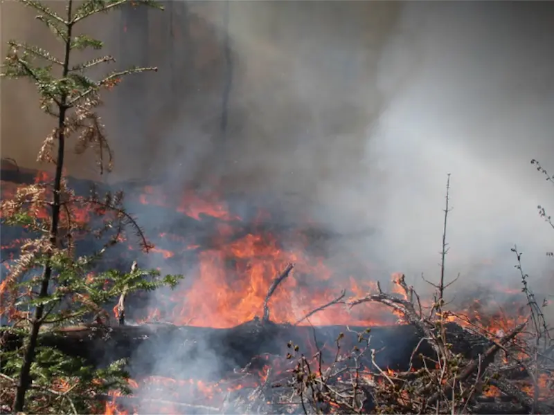 Wildfire Season Bursts Open as First Nations Face Infernos, Firefighters Battle Misinformation