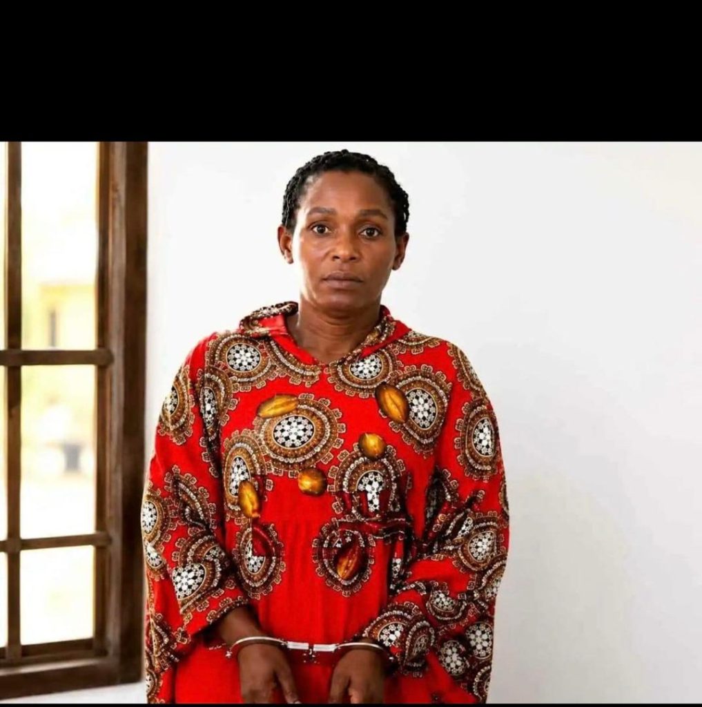 Ghanaian Tiktoker sent to jail over false claim against President Mahama