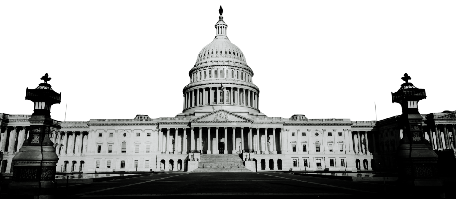 The Big Lie aka La Gran Mentira – Democracy Defenders Action