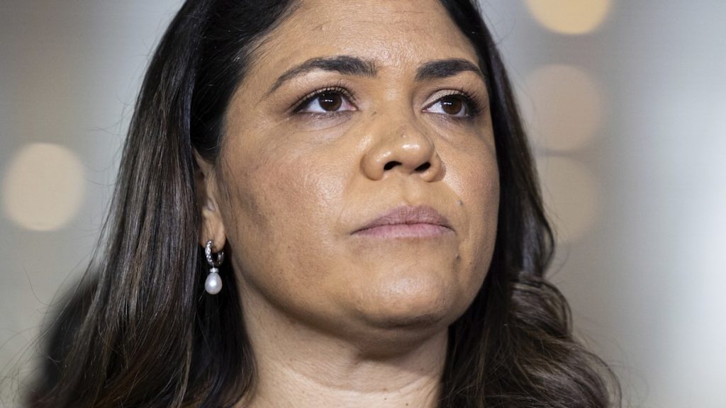Jacinta Price shares post falsely claiming migrants being imported for votes