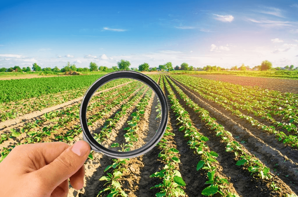 Viewpoint: In this age of disinformation, how can scientists and farmers promote food literacy