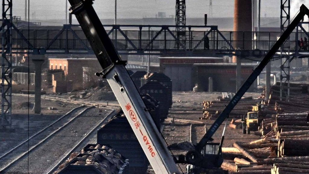Timber Importers Reject ‘False’ Russian Fibre Claims