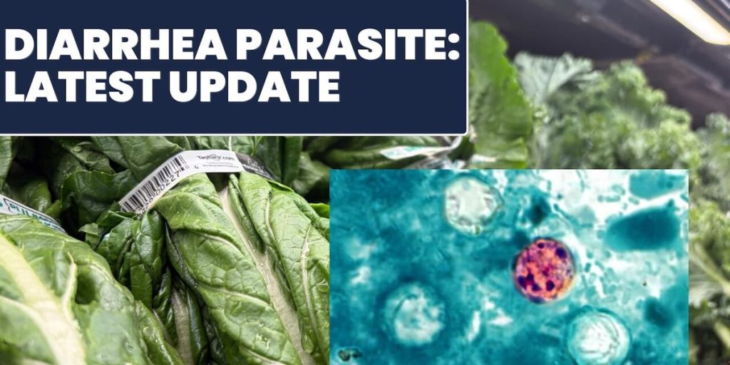 What to know about 'explosive' diarrhea parasite: Latest after false positive test – WSMV
