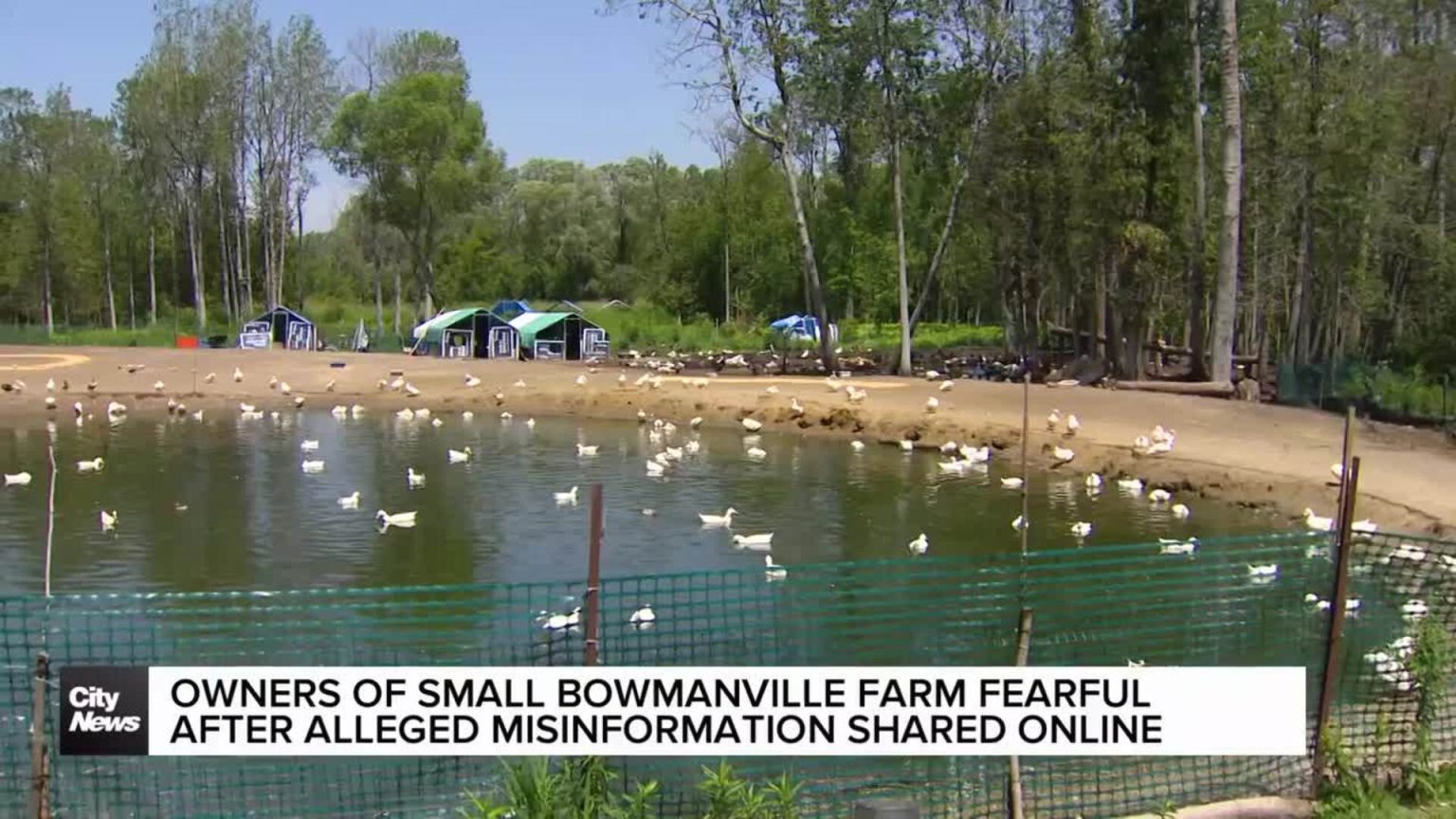 Small Bowmanville farm owners fearful amid alleged online misinformation