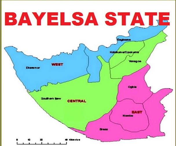 Bayelsa Govt Threatens Libel Suit Against Leadership, Punch Over Alleged False Report