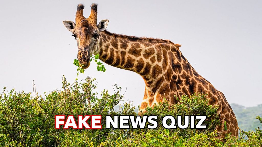 Quiz: Can you spot the fake news stories from June 2026?
