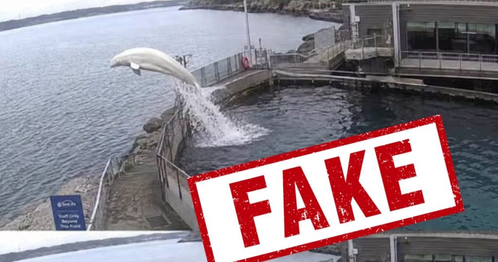 A fake beluga escape story on social media is a reminder of the hazards of misinformation