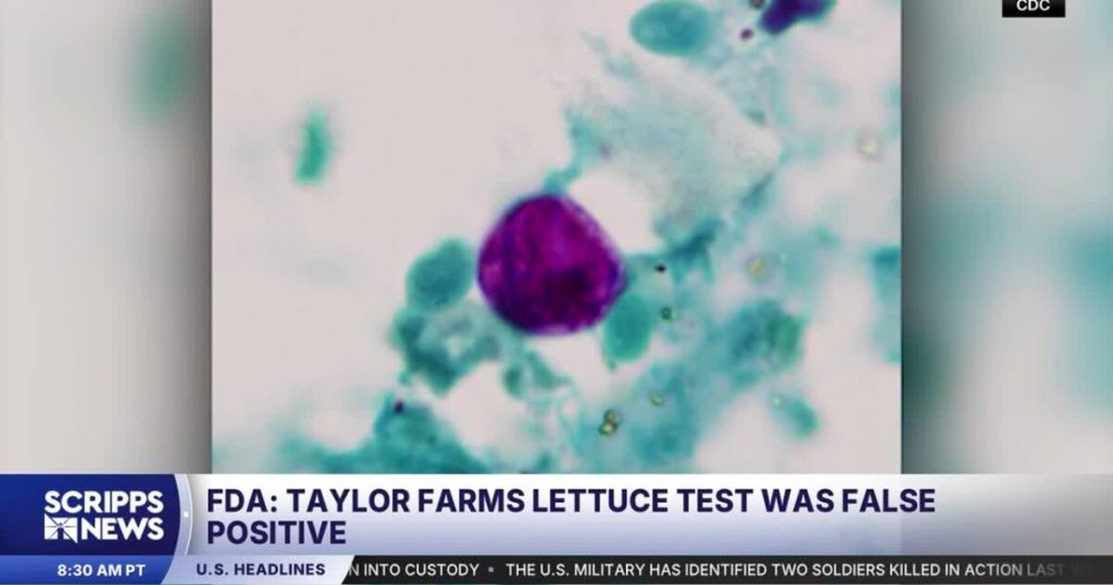 FDA says Cyclospora test on Taylor Farms lettuce was false positive – KRIS 6 News Corpus Christi