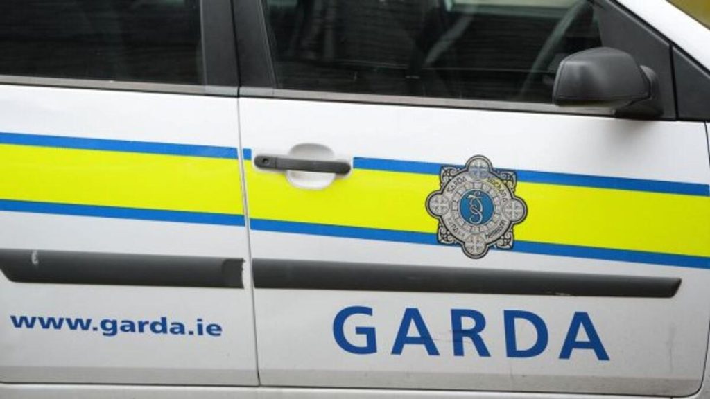Gardaí warn about spread of ‘disinformation’