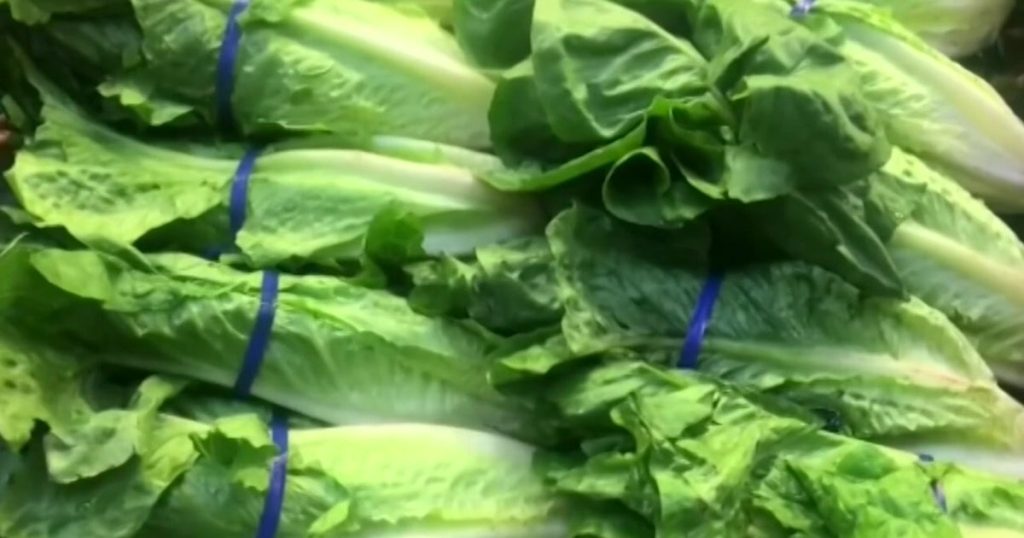Cyclospora outbreak: FDA declares Taylor Farms lettuce test false positive, but data still supports recall