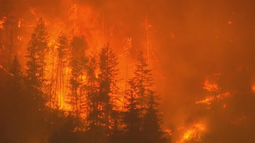 How AI and conspiracy theories fuel wildfire misinformation