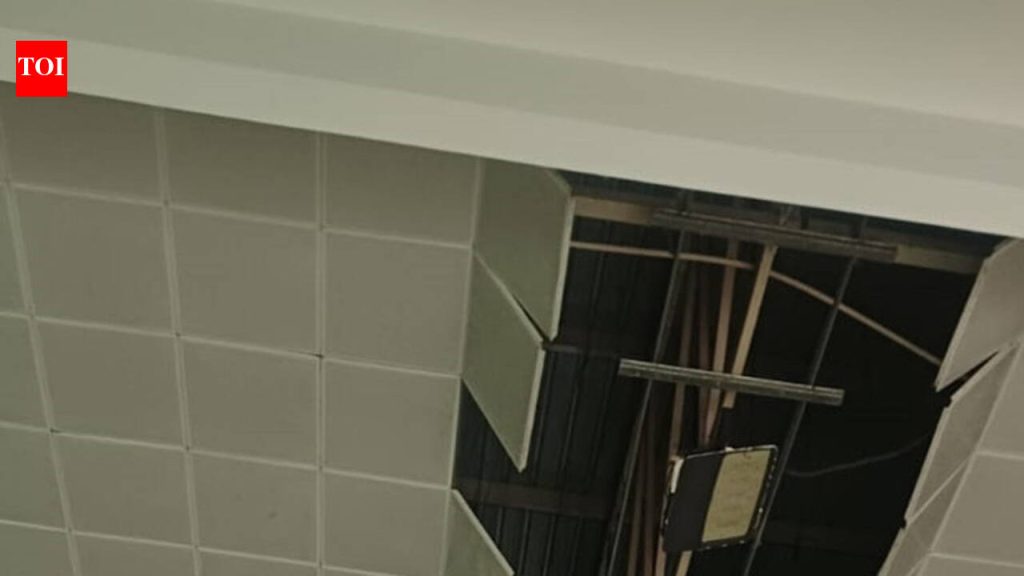 Portion of false ceiling collapses at Patiala institute during I-Day event