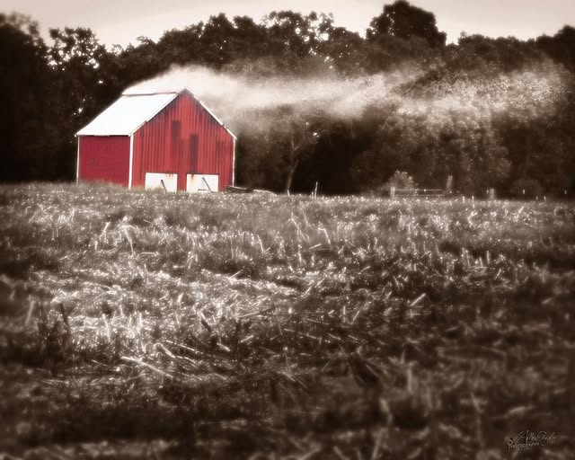 Calloway County launches tobacco barn registry to reduce false fire alarms – KBSI FOX23 News Cape Girardeau News