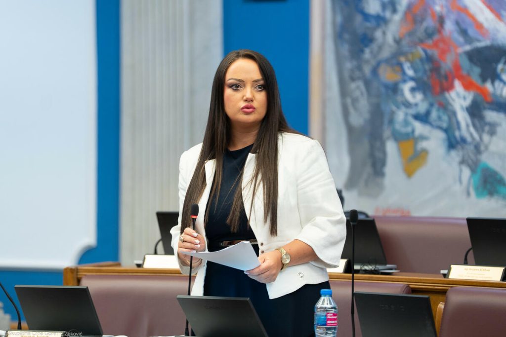 Minić: Radulović is playing the victim, every false report will receive a response from the institutions
