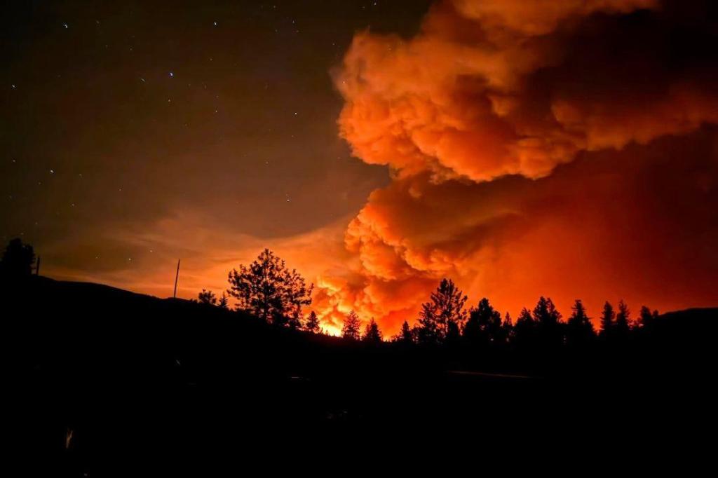 B.C. woman’s thesis examines wildfire misinformation amid Meta news ban
