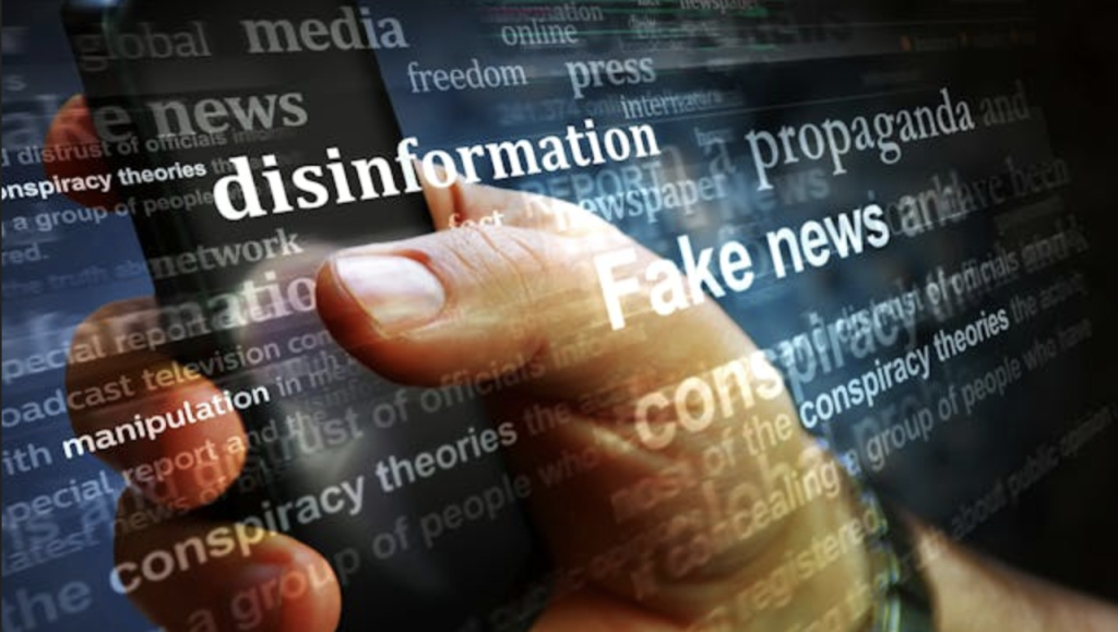 How to spot ethnic disinformation on social media