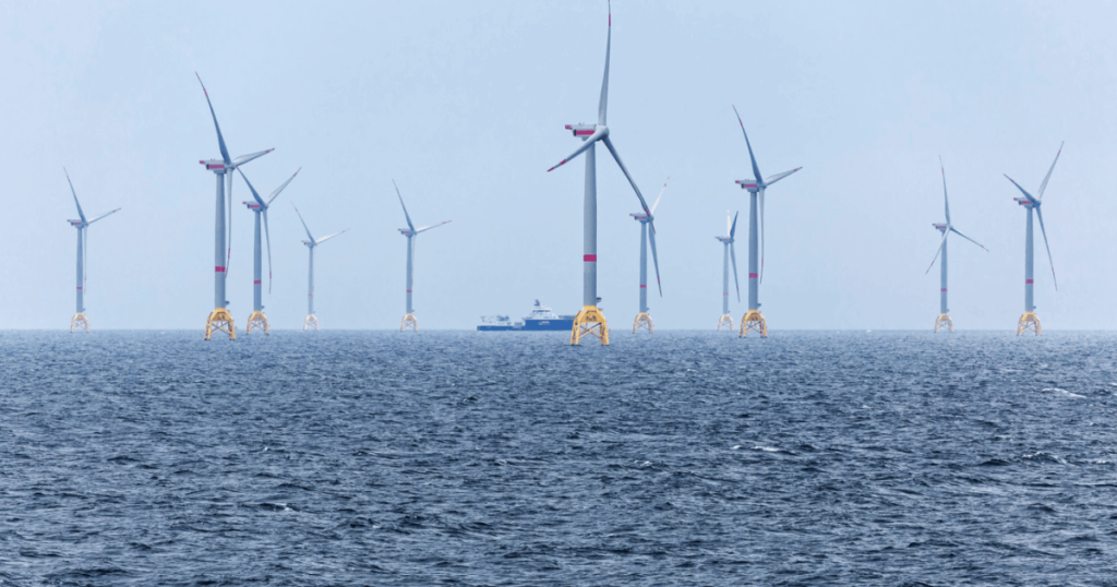 Viewpoint: ‘Misinformation’ about the effects of offshore wind turbines on marine life could derail offshore wind farm projects