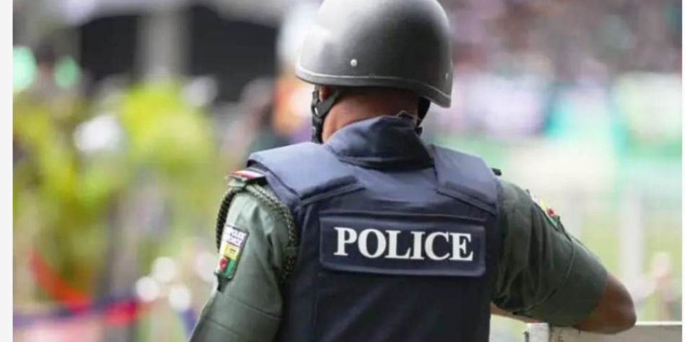 Nyanya Kidney Sales Claims False, FCT Police Says – The Whistler Newspaper