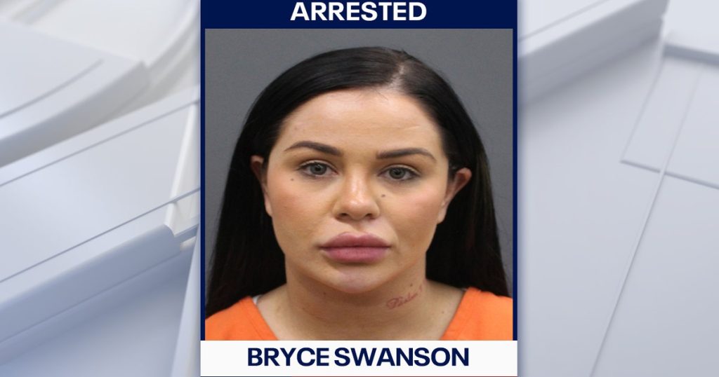 Canadian woman arrested, accused of having 12 fraudulent IDs during Tampa traffic stop: HCSO