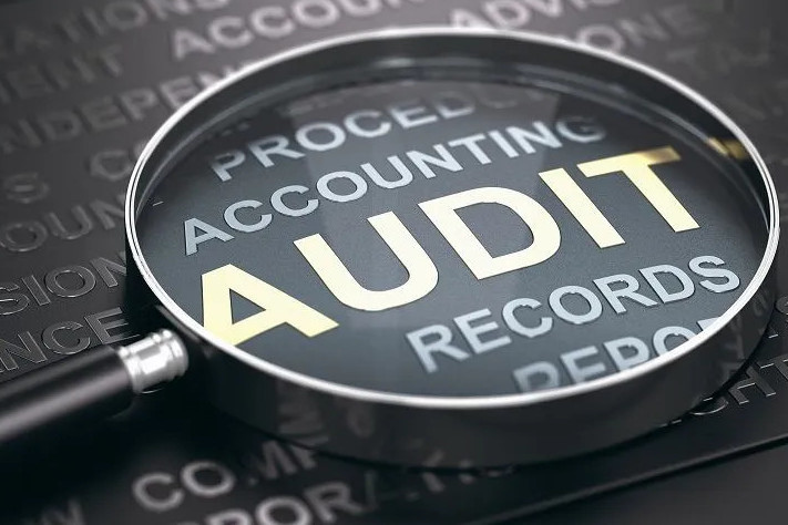 Criminal liability for false audit reports proposed in Kyrgyzstan