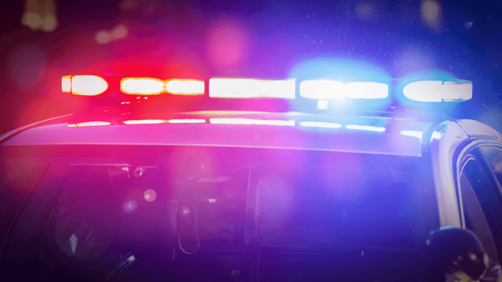North Charleston man arrested after high-speed chase, false stolen-car report, police say