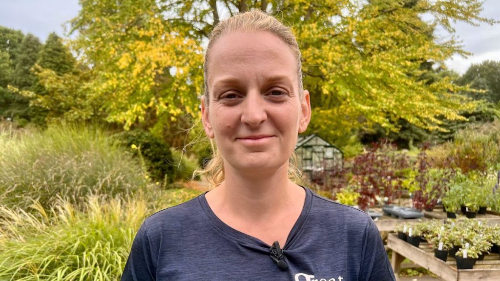 Gardeners reporting false autumn after dry weather