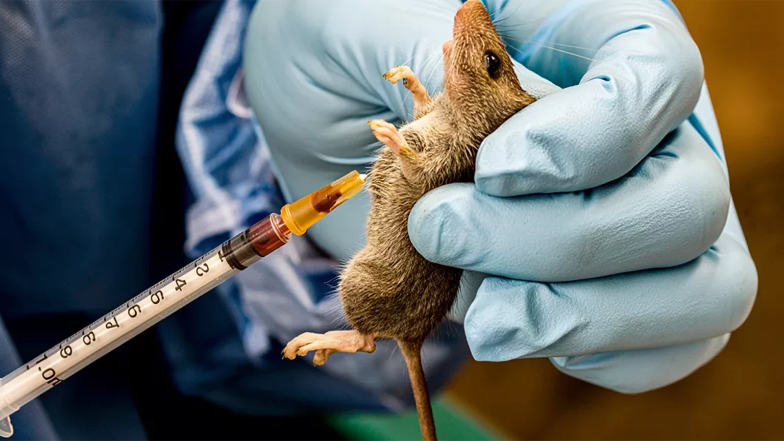 False comfort of no outbreaks: Lessons from Benin’s Lassa Fever risk