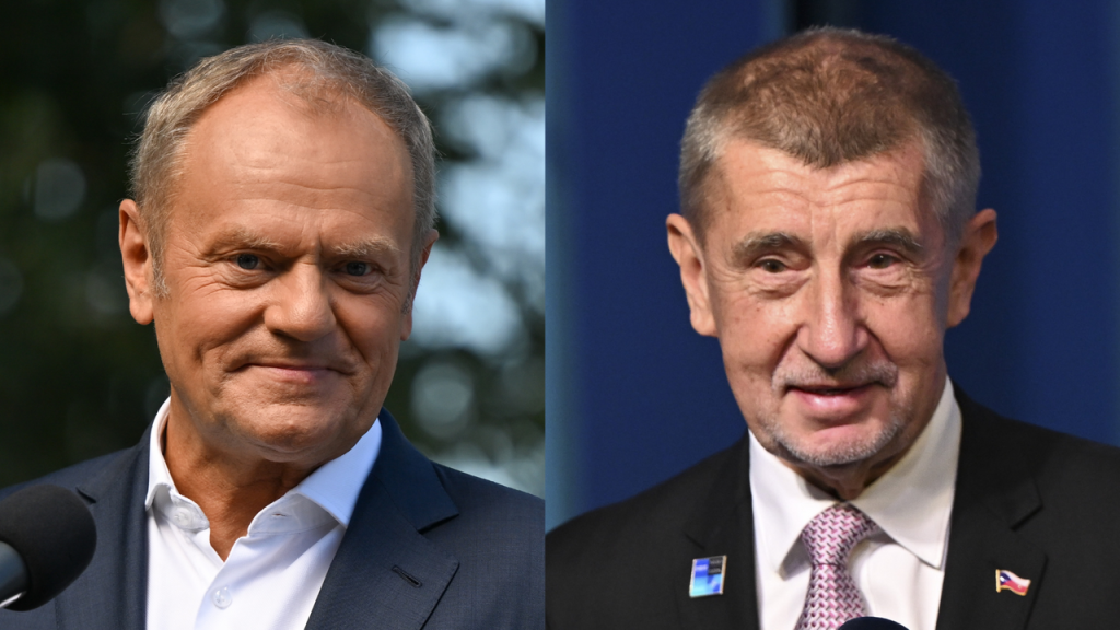 ‘True friends’: Czechs, Poles unite against suspected Russian disinformation ploy – TVP World