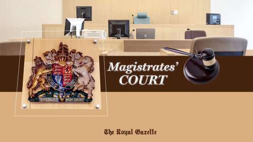 Man faces court accused of ‘false snake report’ – The Royal Gazette