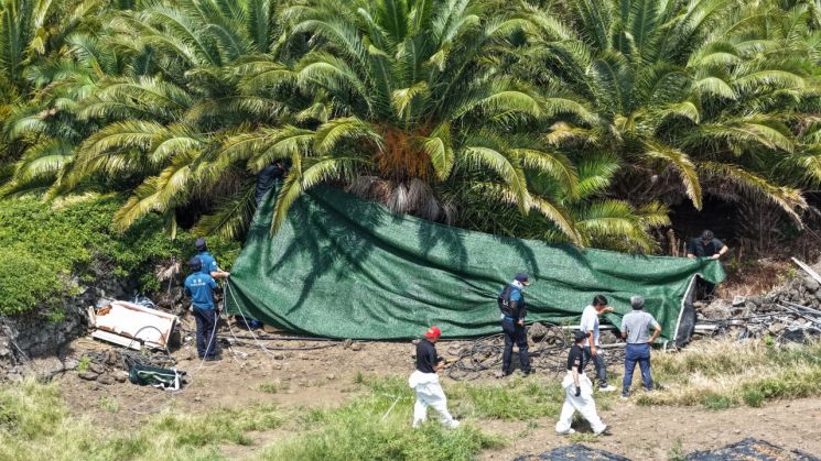 More False Closures and Cancellations Found in Jeju Police Officer’s Missing Persons Cases: 25 Additional Instances Discovered
