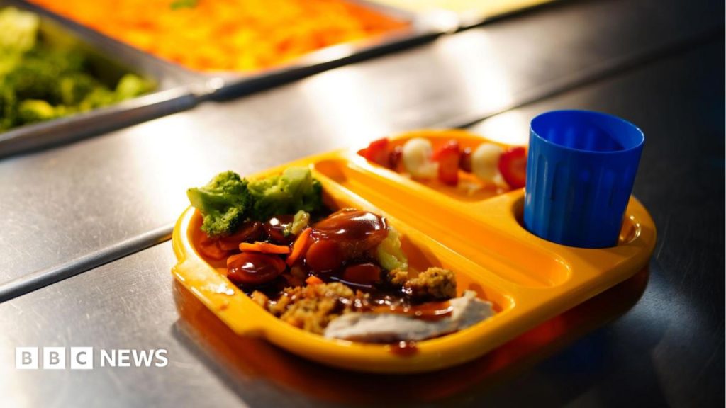 School meals: EA clarifies use of halal chicken after ‘misinformation’